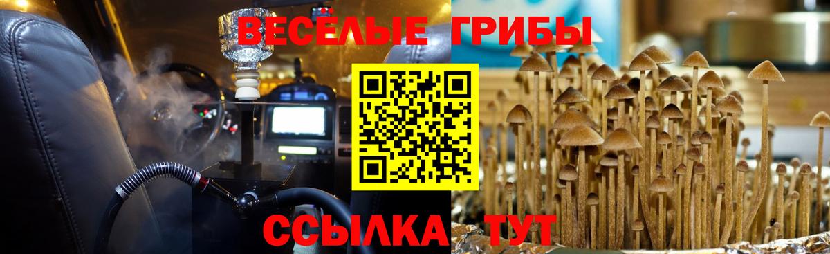 Псилоцибиновые грибы GOLDEN TEACHER Верхний Уфалей